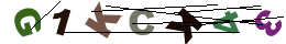 nrcode